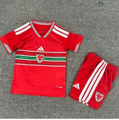 Max Maillots Pays de Galles Enfant Domicile 2026/27