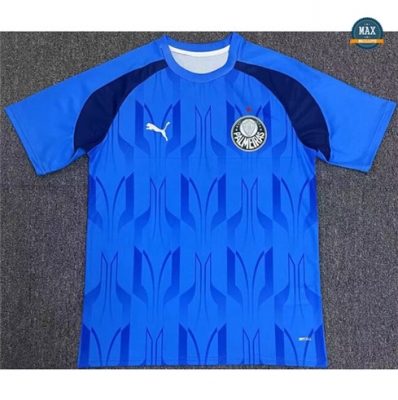 Max Maillots Palmeiras Bleu 2024/25