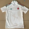Max Maillots foot Pays de Galles Exterieur 2026/27