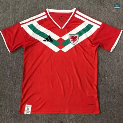 Max Maillot foot Pays de Galles maillot Training 2026/27