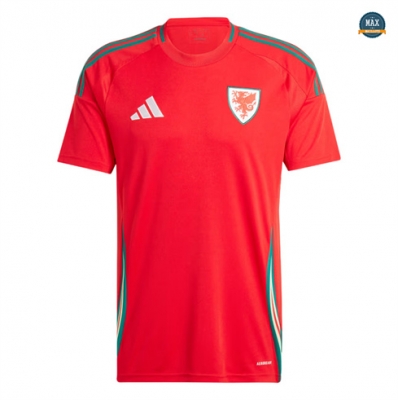 Max Maillot Pays de Galles Domicile 2024/25