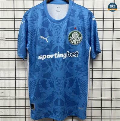 Max Maillot Palmeiras Training Bleu 2025/26