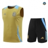 Nouveau Maillot Training Argentine Ensemble Short Debardeur 2024/25 Jaune