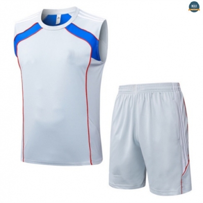 Maxmaillots Training Bayern Munich Ensemble Short Débardeur 2025/26 Gris/Bleu Pas Cher