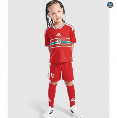 Max Maillots Pays de Galles Enfant Domicile 2026/27