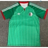 Max Maillots Algérie Exterieur 2026/27