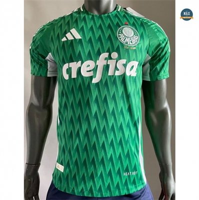 Max Maillot Player Version Palmeiras spéciale Vert 2024/25