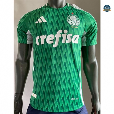 Max Maillot Player Version Palmeiras spéciale Vert 2024/25
